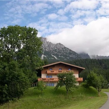 A charming wooden house surrounded by trees and meadows. In the background, impressive mountains are under a cloudy sky.