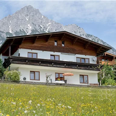 Ein malerisches Haus inmitten einer blühenden Wiese. Im Hintergrund erheben sich majestätische Berge unter einem klaren Himmel.