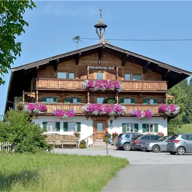 A traditional mountain house with blooming window boxes and a characteristic half-timbered style. In front of the house, several cars are parked on a green meadow.