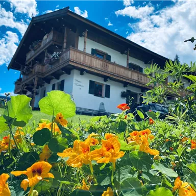 Ein charmantes Haus mit einem Holzbalkon, umgeben von bunten Blumen. Der Himmel ist blau mit vereinzelten Wolken.