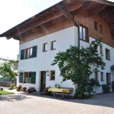 Ein modernes Haus mit Holzverkleidung und großen Fenstern. Der Garten ist grün und einladend, mit einigen Blumen und Bäumen.