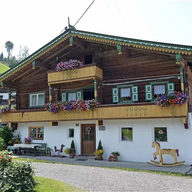 Ein traditionelles Chalet in den Alpen mit bunten Blumenkästen. Die Umgebung ist grün und landschaftlich reizvoll.