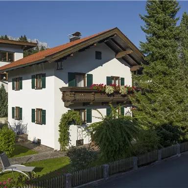 Ein charmantes Haus mit weißer Fassade und grünen Fensterläden. Umgeben von Bäumen und einem kleinen Garten wirkt es einladend und gemütlich.