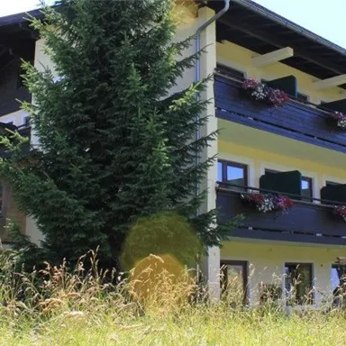 A cozy building surrounded by green meadows and trees. The sky is clear and sunny.