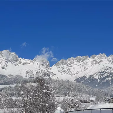 An impressive mountain landscape with snow-covered peaks under a clear blue sky. In the foreground, there are snow-covered trees and meadows.