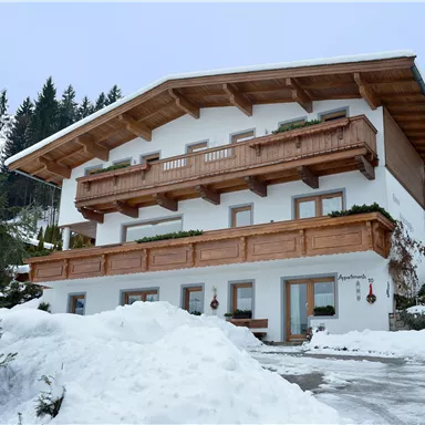 A charming holiday home in the snow with wooden balustrades and a picturesque backdrop of coniferous trees. The facade is friendly and welcoming.