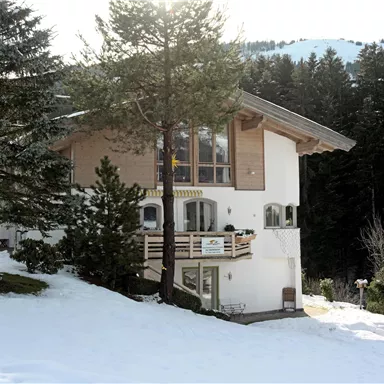 A beautiful house in the mountains, surrounded by snow and fir trees. The clear sky and the wintry landscape create a tranquil atmosphere.