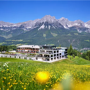 A modern building amid a green landscape with colorful flowers. In the background, majestic mountains rise under a clear blue sky.