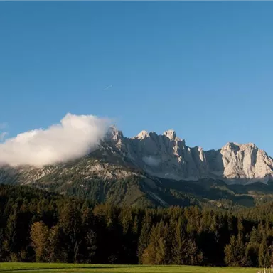 A majestic mountain landscape with a clear blue sky and clouds gently drifting over the peaks. In the foreground, a forest of green trees stretches out.