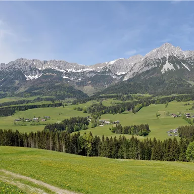 Eine wunderschöne Landschaft mit schneebedeckten Bergen und grünen Wiesen. Der Himmel ist klar und blau, was die idyllische Umgebung unterstreicht.