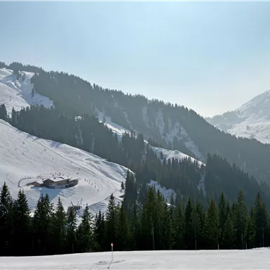 Eine schneebedeckte Berglandschaft mit grünen Nadelbäumen. Im Hintergrund sind die majestätischen Berge und ein klarer blauer Himmel zu sehen.
