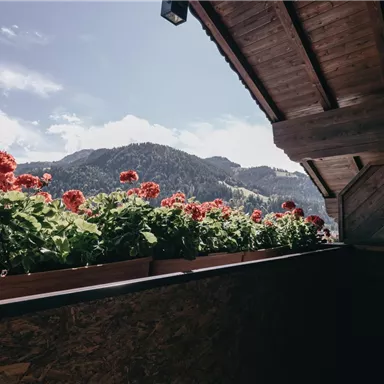 Ein Balkon mit blühenden Geranien und schönem Bergblick. Der Himmel ist klar und die Landschaft ist sonnig.