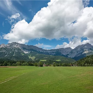 Eine weite Landschaft mit grünen Wiesen und majestätischen Bergen im Hintergrund. Der Himmel ist klar mit einigen weißen Wolken.