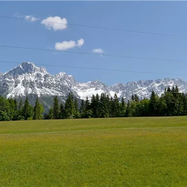 Eine schöne Landschaft mit grünen Wiesen und Bergen im Hintergrund. Die schneebedeckten Gipfel strahlen unter einem klaren blauen Himmel.