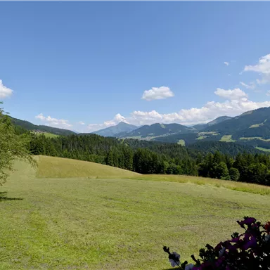A picturesque landscape with green meadows and gentle hills. In the background, there are mountains and a blue sky with white clouds.