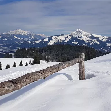 Eine schneebedeckte Landschaft mit Bergen im Hintergrund. Im Vordergrund steht ein Holzzaun und ein klarer Himmel ist sichtbar.