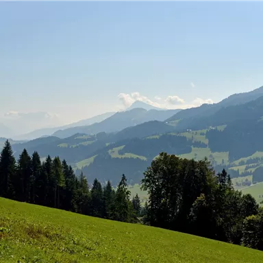 A picturesque mountain landscape with green meadows and forested slopes. The mountains are surrounded by a light mist atmosphere.