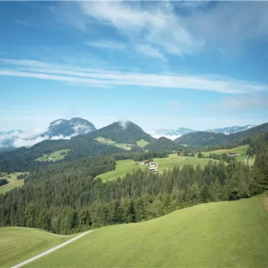 Eine wunderschöne Landschaft mit sanften Hügeln und grünen Wiesen. Im Hintergrund sind Berge und ein klarer blauer Himmel zu sehen.