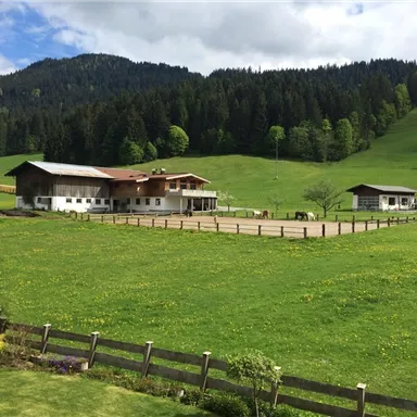 A peaceful landscape with green meadows and mountains in the background. In the foreground, there are several buildings and a riding arena.
