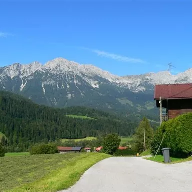 A picturesque landscape with tall mountains and lush greenery. In the foreground, there is a beautiful house on a quiet street.