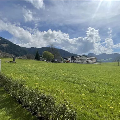 Eine weite, grüne Wiese unter einem blauen Himmel mit einigen Wolken. Im Hintergrund sind Berge und ein Gebäude sichtbar.