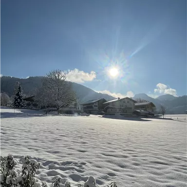 Eine verschneite Landschaft mit einem klaren blauen Himmel. Die Sonne strahlt über eine ruhige, winterliche Szenerie.