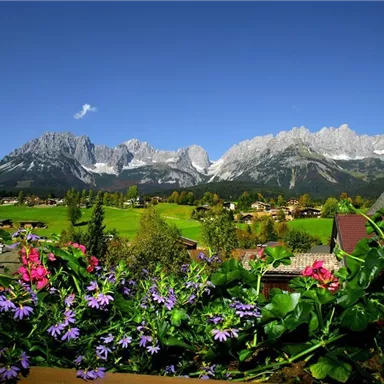 A picturesque mountain landscape with high peaks and green meadows. In the foreground, colorful flowers are blooming.