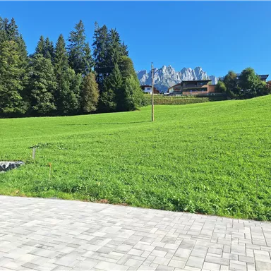Eine grüne Wiese umgeben von Bäumen und Bergen im Hintergrund. Der Himmel ist klar und blau.