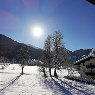 A sunny winter landscape with a snow-covered field and trees. Mountains and a building are visible in the background.