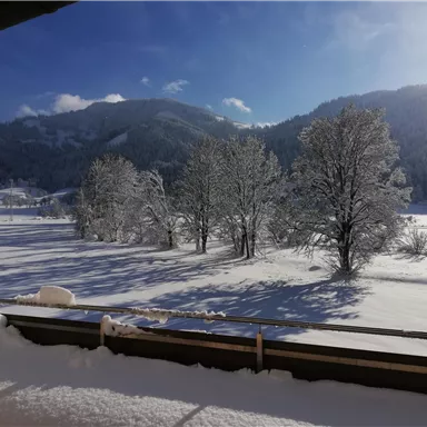 A snowy landscape with trees and mountains in the background. The sky is blue and clear, and the sun is shining on the snow-covered ground.