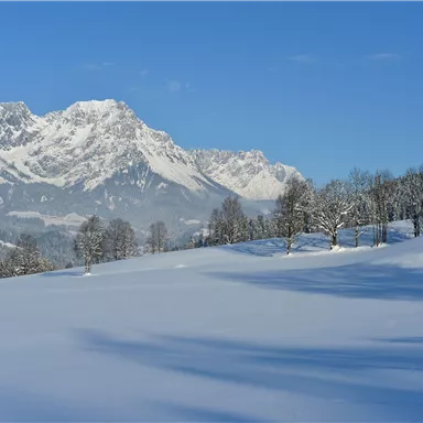 A snowy landscape with high mountains in the background. The sky is clear and brightly blue.