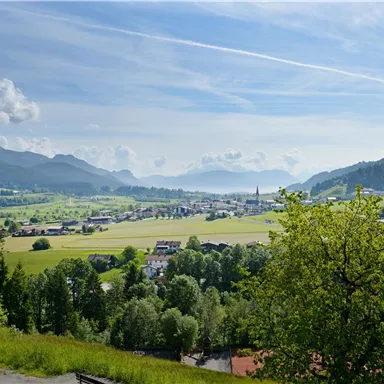 Eine malerische Landschaft mit grünen Wiesen und Bergen im Hintergrund. In der Ferne ist eine kleine Stadt zu sehen, umgeben von Natur und blauen Himmel.
