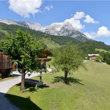 A picturesque mountain landscape with green meadows and snow-covered peaks. In the foreground, there are traditional wooden houses and trees.
