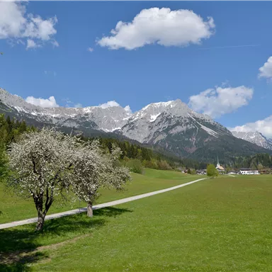 Eine malerische Landschaft mit grünen Wiesen und hohen Bergen im Hintergrund. Hellblauer Himmel mit einigen weißen Wolken.