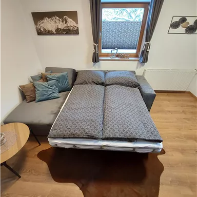 A cozy room with a sofa bed and a round table. Subtle color scheme and a window view create an inviting atmosphere.