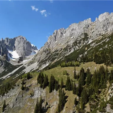 An impressive mountain landscape with high rocks and green meadows. The sky is clear and nature is untouched.