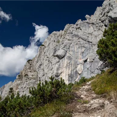 An impressive rock face surrounded by green shrubbery. The sky is blue with a few white clouds.
