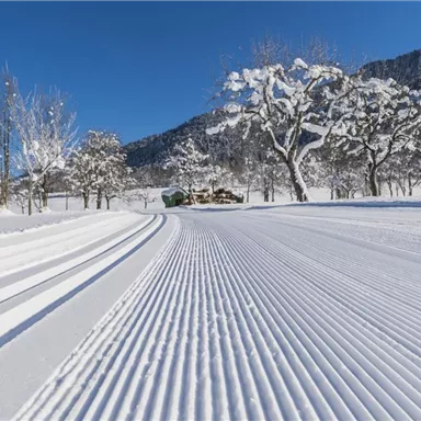 A snowy landscape with intense ski tracks in the snow. In the background, snow-covered trees and hilly slopes are visible.