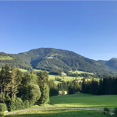 Eine malerische Landschaft mit sanften Hügeln und grünen Wiesen. Im Hintergrund erheben sich majestätische Berge unter einem klaren Himmel.