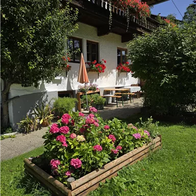 Ein schönes Haus mit einem blühenden Garten. Es gibt bunte Blumen und einen sonnigen Sitzbereich.