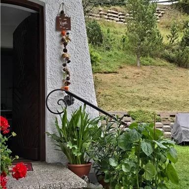 Eine schöne Eingangstür mit Pflanzen und roten Blumen. Im Hintergrund sieht man einen gepflegten Garten.