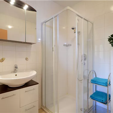 A modern bathroom with a shower cabin and a sink. White tiles and a green plant create a pleasant atmosphere.