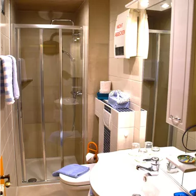 Ein modernes Badezimmer mit einer Dusche, einem Waschbecken und einer Toilette. Helle Fliesen und eine gemütliche Holzdecke verleihen dem Raum eine einladende Atmosphäre.