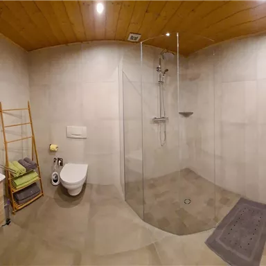 A modern bathroom with a large shower and wooden ceilings. There is also a wash area with a mirror and shelves.