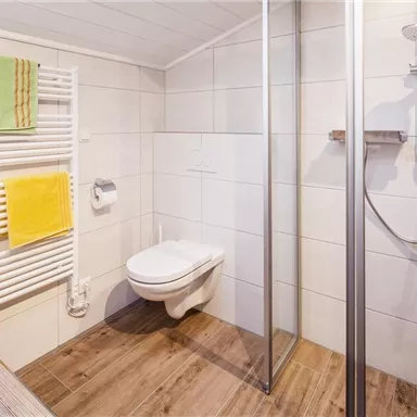 Ein modernes Badezimmer mit einer Dusche und einem WC. Handtücher in frischen Farben hängen an einem Heizkörper.