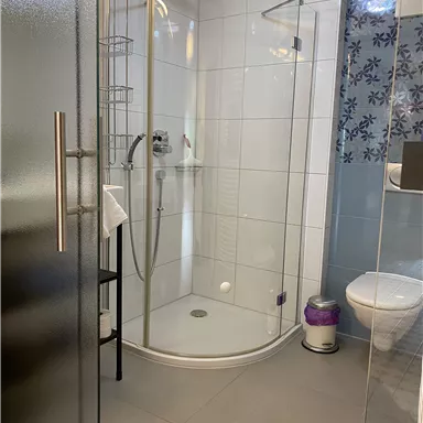 A modern bathroom with a glass shower and a toilet. The walls are tiled in a light color, and there is a small shelving area.