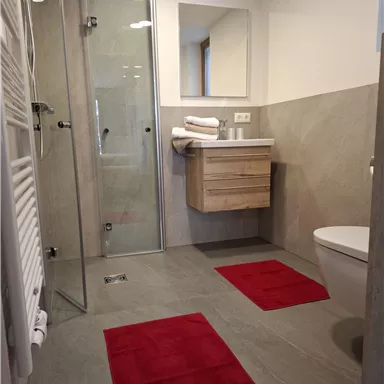 Ein modernes Badezimmer mit einer Dusche, einem Waschbecken und einem Toilettenbereich. Rote Teppiche sorgen für einen farblichen Akzent auf dem grauen Boden.