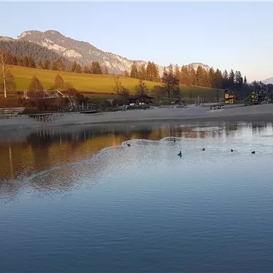 Ein ruhiger See mit sanften Wellen und mehreren Enten. Im Hintergrund sind grüne Wiesen und Berge zu sehen, beleuchtet von mildem Licht.