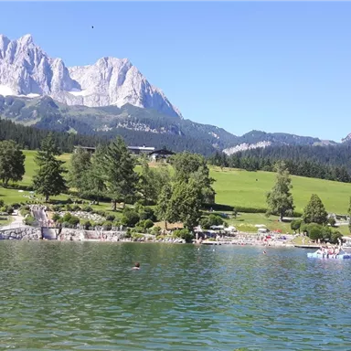 A beautiful swimming lake with clearer water and swimmers. In the background, green meadows and majestic mountains can be seen.
