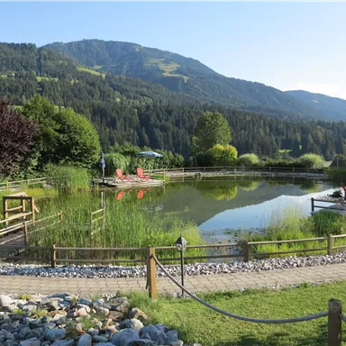 A quiet pond surrounded by green vegetation and mountains. Some seating invites you to linger.